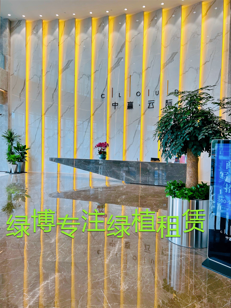 案例